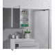 Дзеркальна шафа Fancy Marble MC-700 (60x70) білий