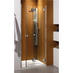 Душові двері Radaway Сarena DWB 70 (134582-01-01NR)