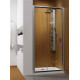 Душові двері Radaway Premium Plus DWJ 110 скло фабрік 33302-01-06N