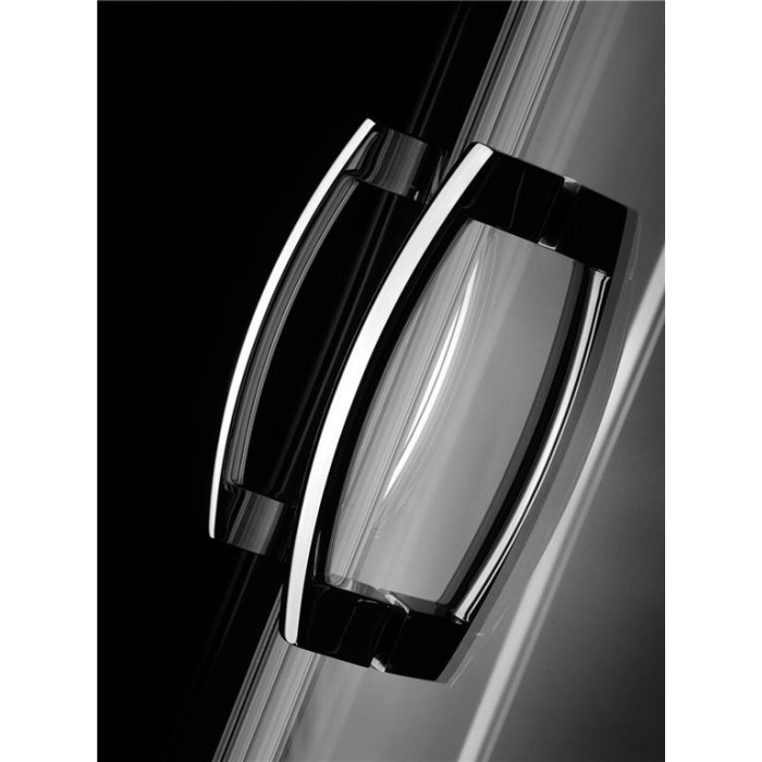Душові двері Radaway Premium Plus DWJ 110 скло фабрік 33302-01-06N