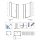 Душевые двери Radaway Radaway Nes Black DWJS 1200Rx2000 черный/прозрачное 10038120-54-01R