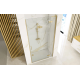 Душевые двери REA HUGO BRUSHED GOLD 100 REA-K8413
