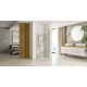 Душевые двери REA HUGO BRUSHED GOLD 80 REA-K8410