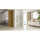 Душевые двери REA HUGO BRUSHED GOLD 90 REA-K8411
